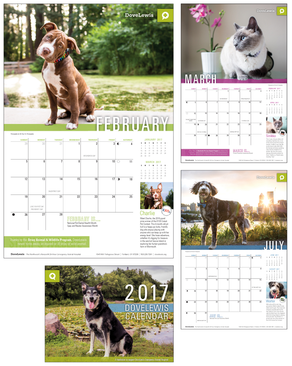 DL-2017-Calendar_1000x1253