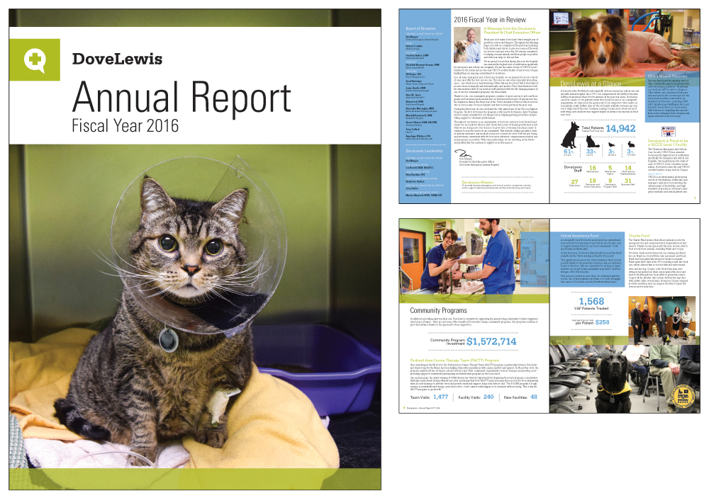 DL-FY-2016-Annual-Report_1000x706