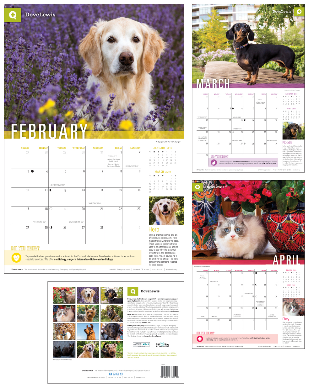 DL-2019-Calendar_1000x 1238_PAGES